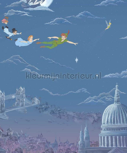 Sanderson Disney HOME x Sanderson DDIW217293 | Bestellen bij https://www.kleurmijninterieur.nl/