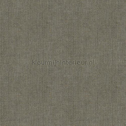 Hookedonwalls Amur 15100 | Bestellen bij https://www.kleurmijninterieur.nl/
