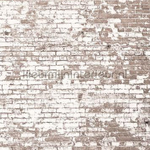 Caselio Young and Free YNF103431903 | Bestellen bij https://www.kleurmijninterieur.nl/