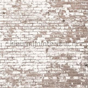 Caselio Young and Free YNF103431904 | Bestellen bij https://www.kleurmijninterieur.nl/