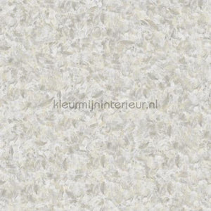 Noordwand Concrete Cire 330655 | Bestellen bij https://www.kleurmijninterieur.nl/