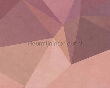 AS Creation Walls by Patel dd110946 | Bestellen bij https://www.kleurmijninterieur.nl/