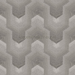 Dutch Wallcoverings Exclusive Threads TP422913 | Bestellen bij https://www.kleurmijninterieur.nl/
