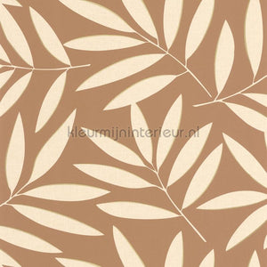 Caselio XXL XXL104582024 | Bestellen bij https://www.kleurmijninterieur.nl/