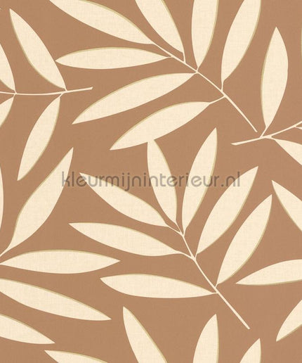 Caselio XXL XXL104582024 | Bestellen bij https://www.kleurmijninterieur.nl/