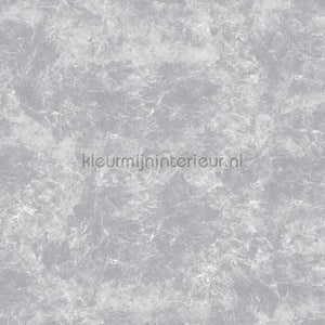 Noordwand Concrete Cire 330808 | Bestellen bij https://www.kleurmijninterieur.nl/