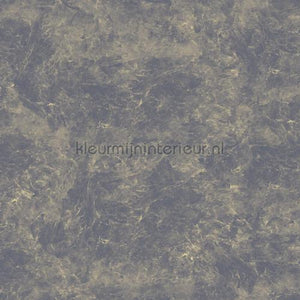 Noordwand Concrete Cire 330839 | Bestellen bij https://www.kleurmijninterieur.nl/
