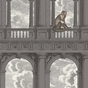 Cole and Son Fornasetti 114-8016 | Bestellen bij https://www.kleurmijninterieur.nl/
