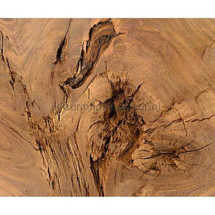 Architects Paper AP Digital 2 470428 200 grams | Bestellen bij https://www.kleurmijninterieur.nl/