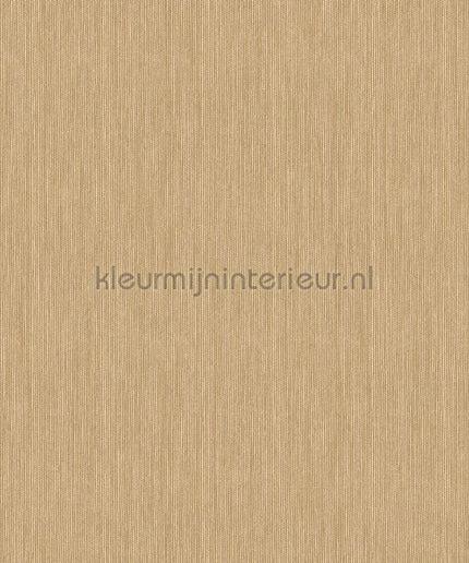 Hookedonwalls Alegria 23812 | Bestellen bij https://www.kleurmijninterieur.nl/