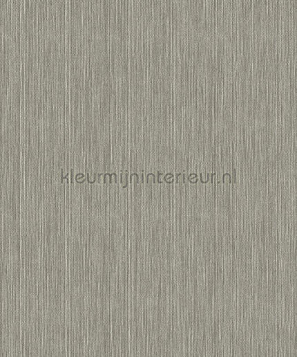 Hookedonwalls Alegria 23814 | Bestellen bij https://www.kleurmijninterieur.nl/