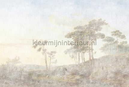 AS Creation Walls by Patel 3 DD121964 | Bestellen bij https://www.kleurmijninterieur.nl/