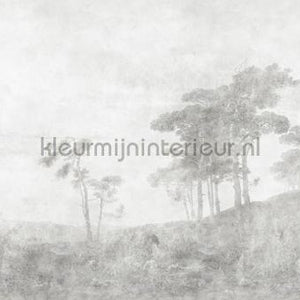 AS Creation Walls by Patel 3 DD121968 | Bestellen bij https://www.kleurmijninterieur.nl/