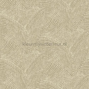 Hookedonwalls Leopard Walk 15324 | Bestellen bij https://www.kleurmijninterieur.nl/
