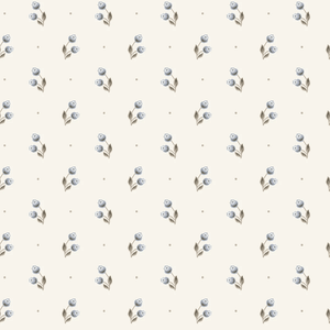 Kleur_Mijn_Interieur_Sandberg_EttHemOland_Siv_MistyBlue_S10469