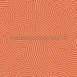 AS Creation Walls by Patel 3 DD122852 | Bestellen bij https://www.kleurmijninterieur.nl/