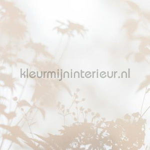 AS Creation Walls by Patel 3 DD122016 | Bestellen bij https://www.kleurmijninterieur.nl/