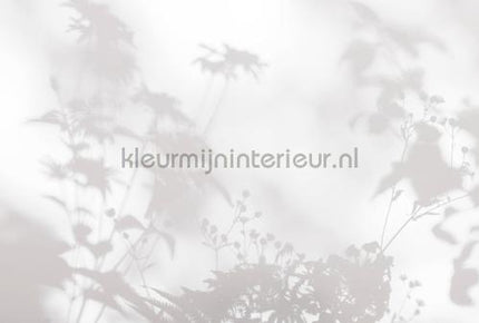 AS Creation Walls by Patel 3 DD122020 | Bestellen bij https://www.kleurmijninterieur.nl/