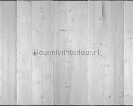 Architects Paper AP Digital 4 dd108625 | Bestellen bij https://www.kleurmijninterieur.nl/