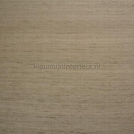 DWC Silk silk-05 | Bestellen bij https://www.kleurmijninterieur.nl/