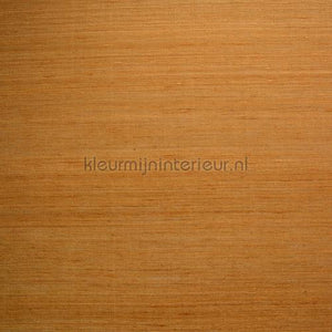 DWC Silk silk-33 | Bestellen bij https://www.kleurmijninterieur.nl/