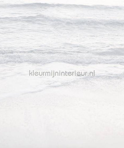 Komar RAW R4-047 | Bestellen bij https://www.kleurmijninterieur.nl/