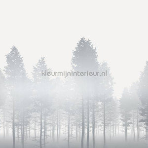 Komar RAW RSX8-055 | Bestellen bij https://www.kleurmijninterieur.nl/