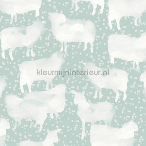 Zoom Be Happy HAP302 | Bestellen bij https://www.kleurmijninterieur.nl/