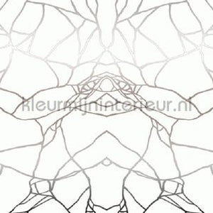Atlas Wallcoverings Excess 8044-1 | Bestellen bij https://www.kleurmijninterieur.nl/