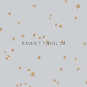 Cole and Son Whimsical 103-3016 | Bestellen bij https://www.kleurmijninterieur.nl/