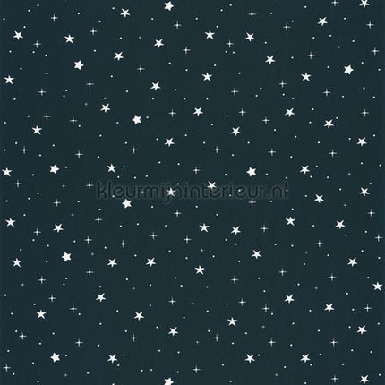 Caselio Our Planet OUP101926918 | Bestellen bij https://www.kleurmijninterieur.nl/