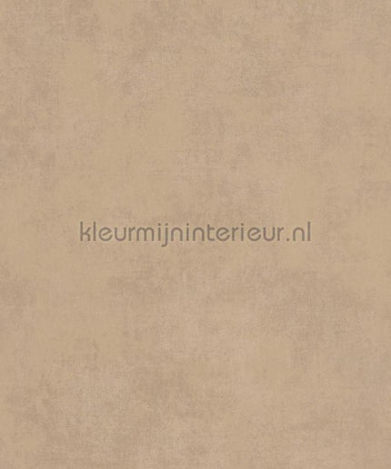 Casadeco Twenties TWNT80831265 | Bestellen bij https://www.kleurmijninterieur.nl/