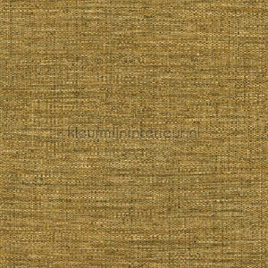 Hookedonwalls Culture Club 14624 | Bestellen bij https://www.kleurmijninterieur.nl/