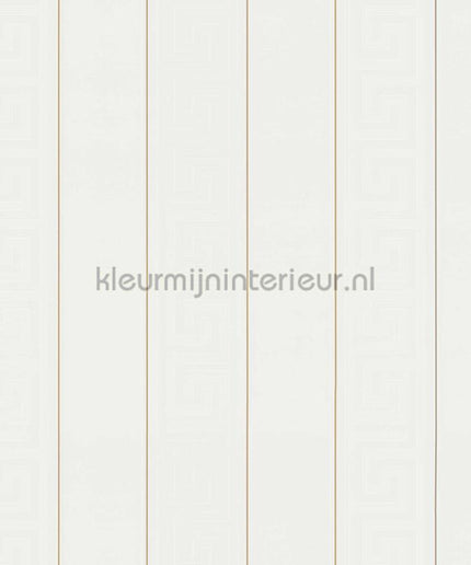 Versace wallpaper Versace 5 935241 | Bestellen bij https://www.kleurmijninterieur.nl/