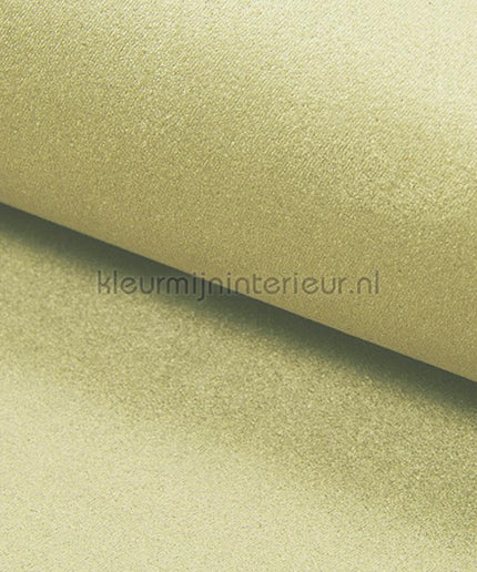 DWC Suedine Suedine 05 | Bestellen bij https://www.kleurmijninterieur.nl/