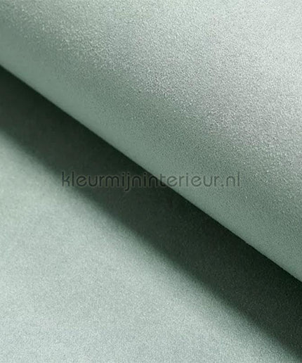 DWC Suedine Suedine 10 | Bestellen bij https://www.kleurmijninterieur.nl/