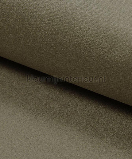 DWC Suedine Suedine 50 | Bestellen bij https://www.kleurmijninterieur.nl/