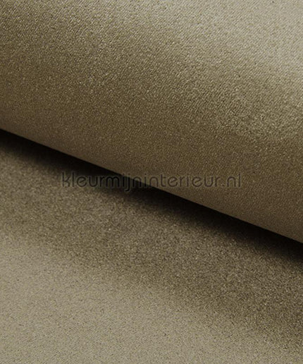 DWC Suedine Suedine 53 | Bestellen bij https://www.kleurmijninterieur.nl/