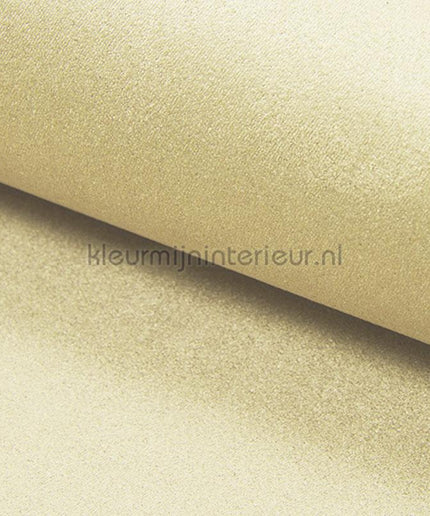 DWC Suedine Suedine 56 | Bestellen bij https://www.kleurmijninterieur.nl/