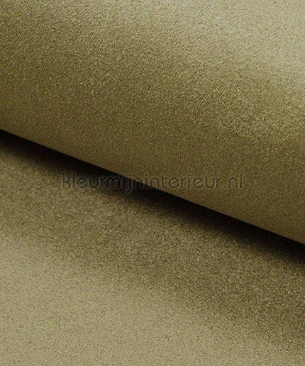 DWC Suedine Suedine 57 | Bestellen bij https://www.kleurmijninterieur.nl/