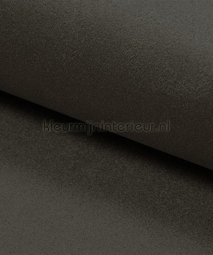 DWC Suedine Suedine 77 | Bestellen bij https://www.kleurmijninterieur.nl/