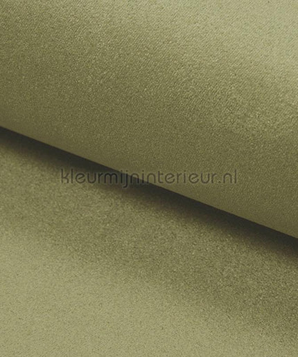 DWC Suedine Suedine 82 | Bestellen bij https://www.kleurmijninterieur.nl/