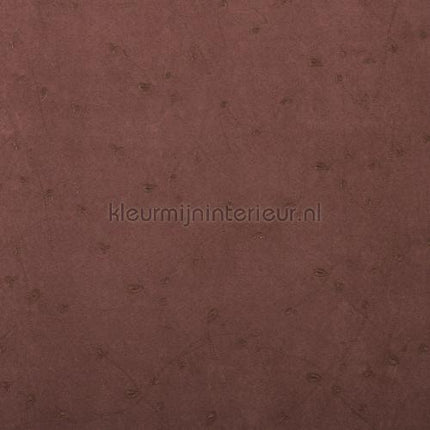 Rodeka Innovations gpw-ivvd-110 | Bestellen bij https://www.kleurmijninterieur.nl/