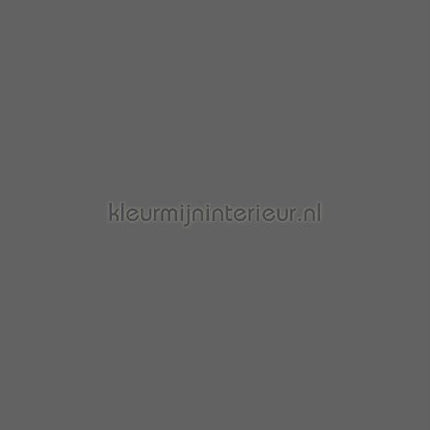 Bodaq Uni smt06 | Bestellen bij https://www.kleurmijninterieur.nl/