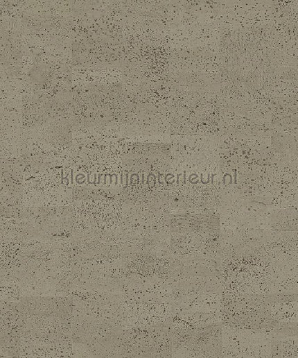 Omexco Casca CAS45 | Bestellen bij https://www.kleurmijninterieur.nl/