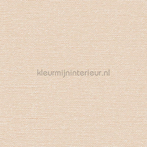 Dutch Wallcoverings Tapestry TP422403 | Bestellen bij https://www.kleurmijninterieur.nl/