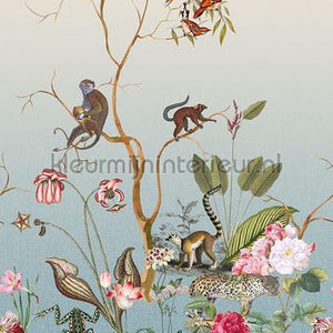 Behang Expresse select.d TD4127 | Bestellen bij https://www.kleurmijninterieur.nl/