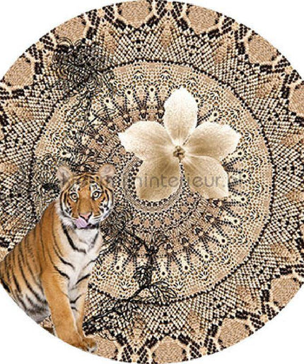 Behang Expresse Circle of Life TD4213 zelfklevend | Bestellen bij https://www.kleurmijninterieur.nl/