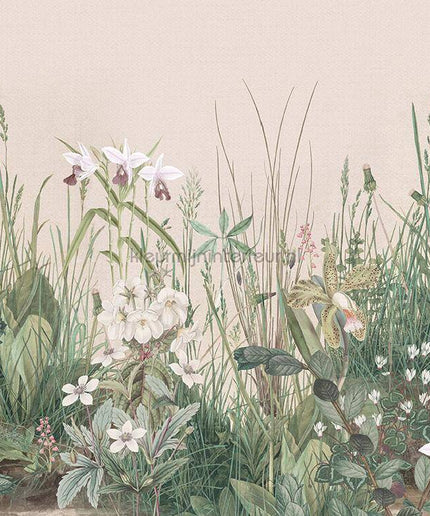 Behang Expresse Treasures of Nature TD4252 | Bestellen bij https://www.kleurmijninterieur.nl/