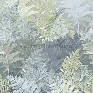 Behang Expresse Treasures of Nature TD4254 | Bestellen bij https://www.kleurmijninterieur.nl/